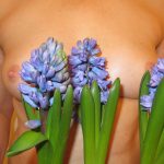 Modesty Ablaze Hyacinths